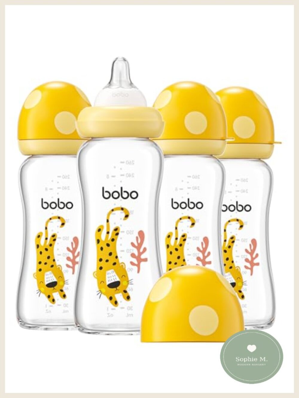 Borosilicate Glass Baby Bottles with Vented Silicone Nipple - Anti-Colic, BPA
